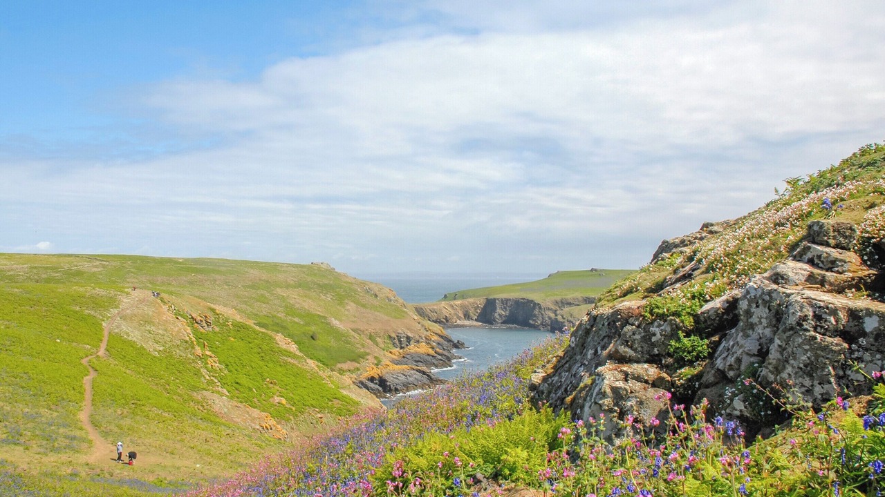 Photo of Others in Neyland