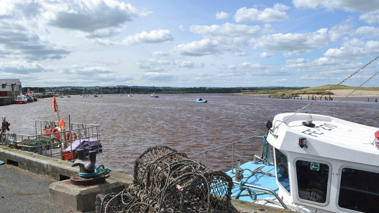 Photo of Others in Amble