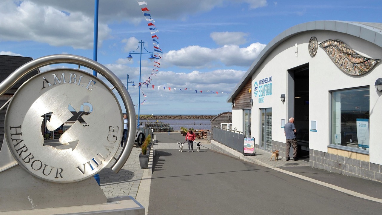 Photo of Others in Amble