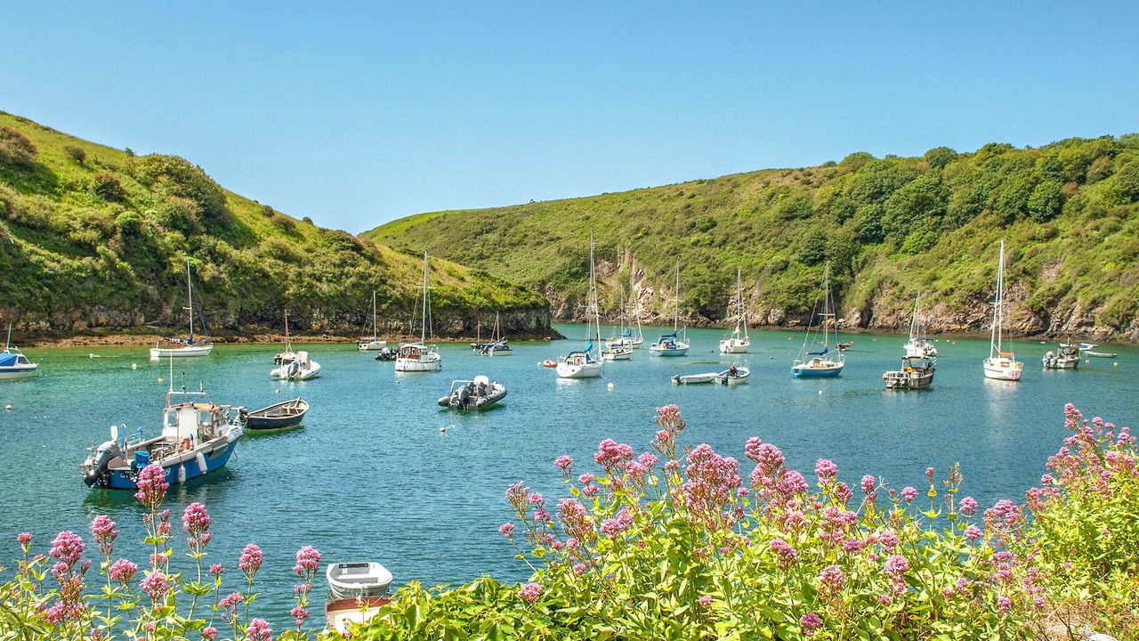 Photo of Others in St Brides