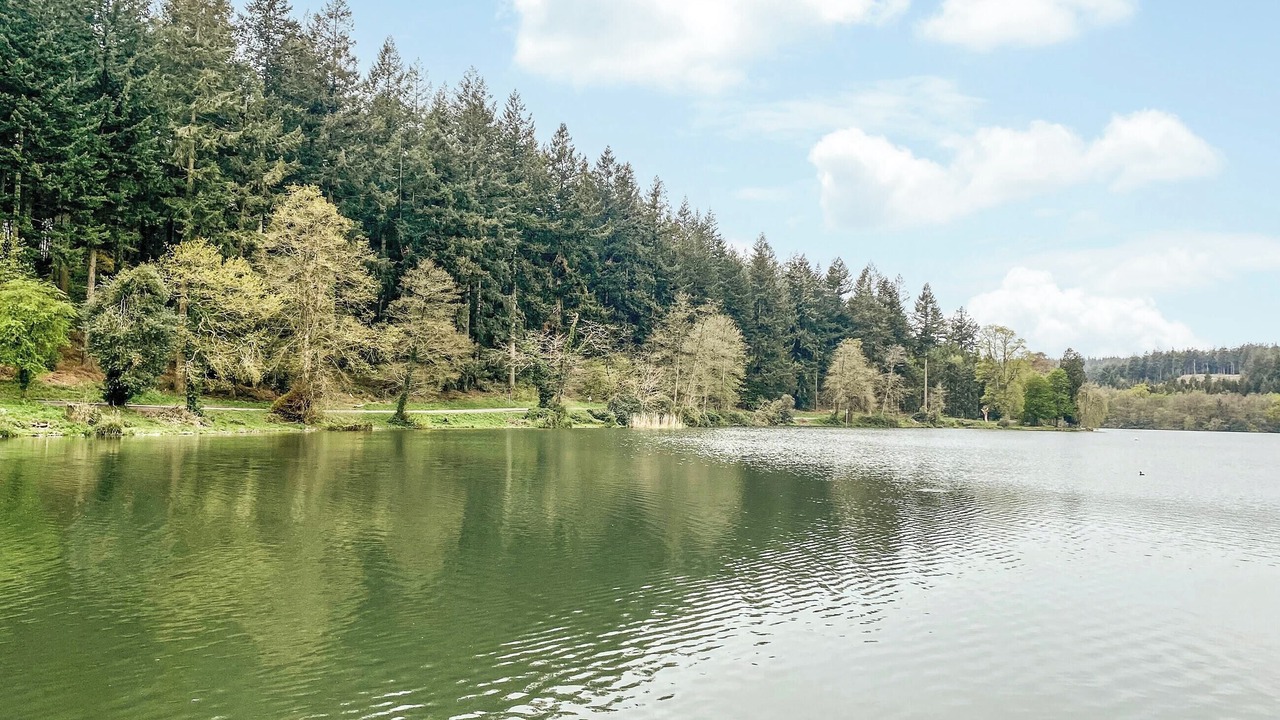 Photo of Others in Crockerton