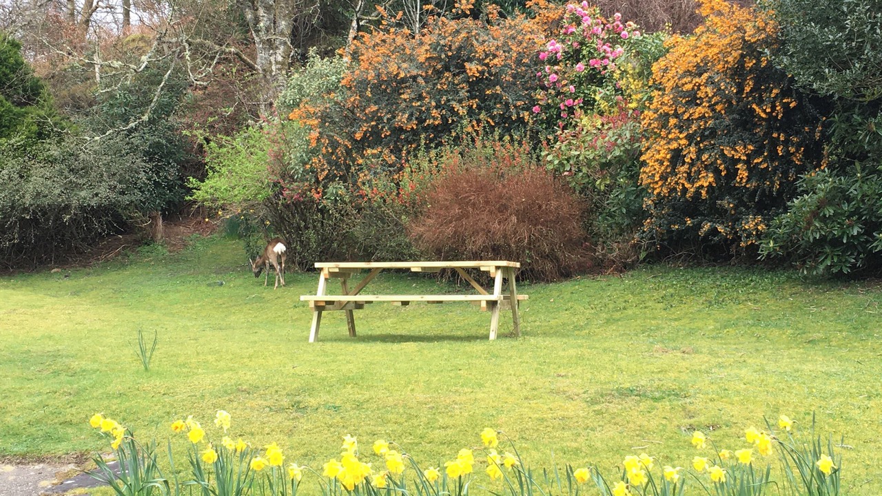 Photo of Outdoor in Isle of Seil