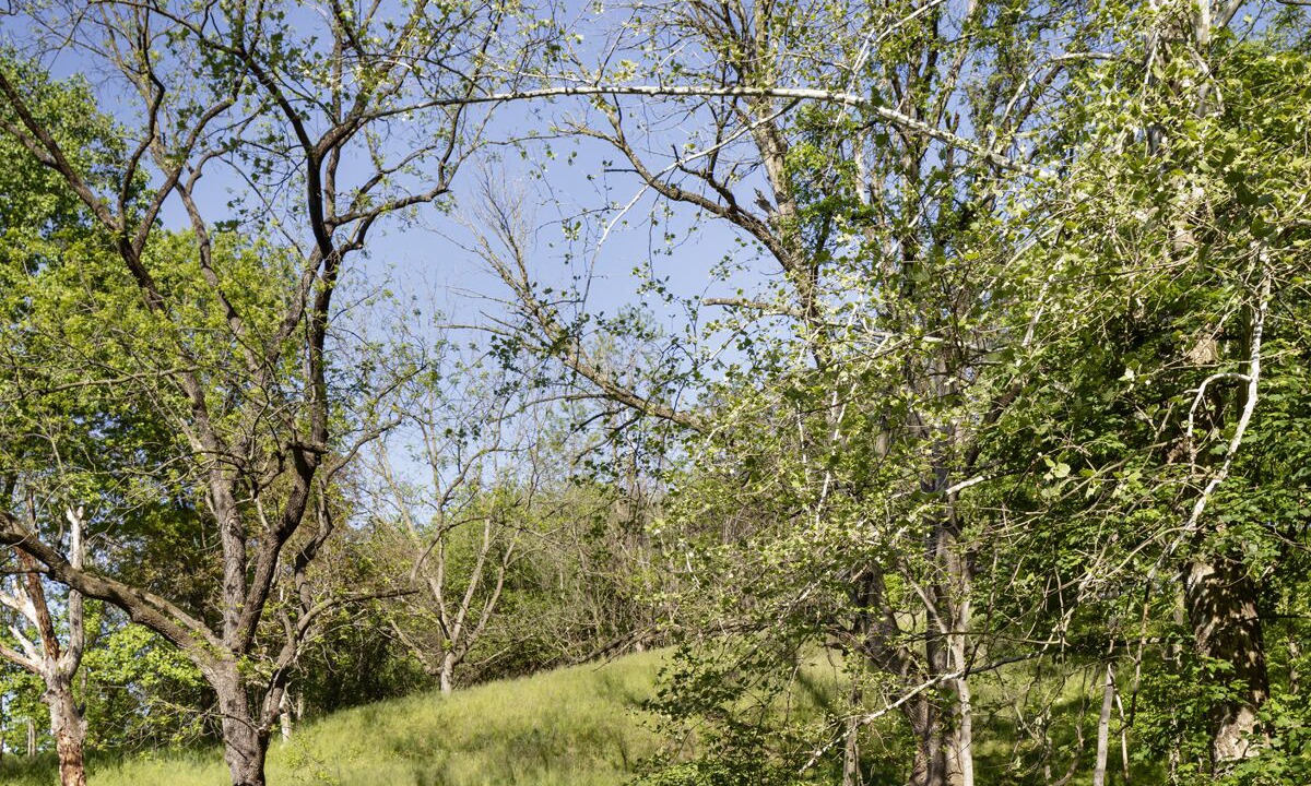 Photo of Outdoor in Washington Boro