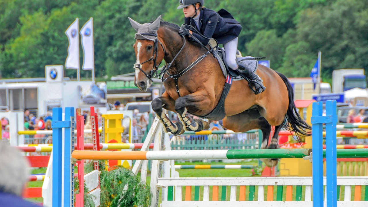 Photo of Others in St Brides