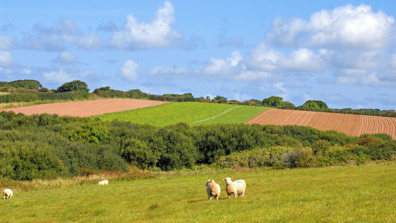 Photo of Outdoor in St Brides