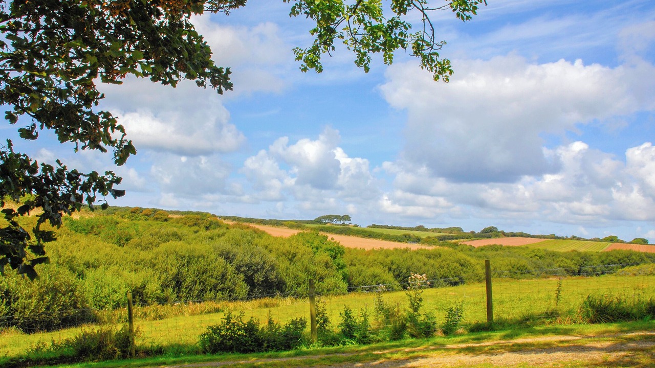 Photo of Outdoor in St Brides