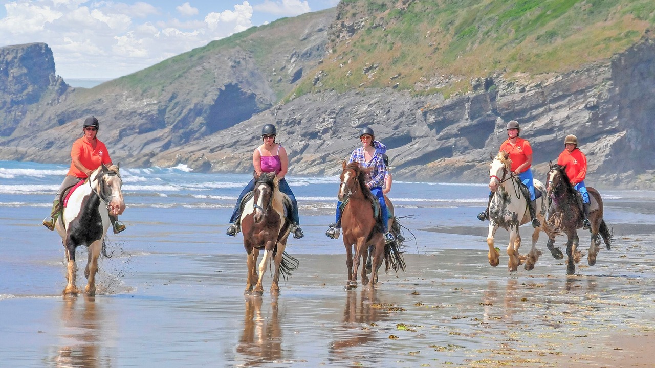 Photo of Others in St Brides