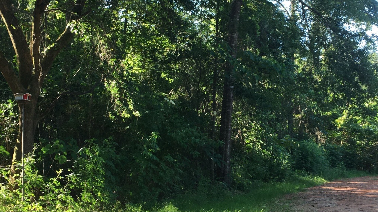 Photo of Outdoor in Folsom