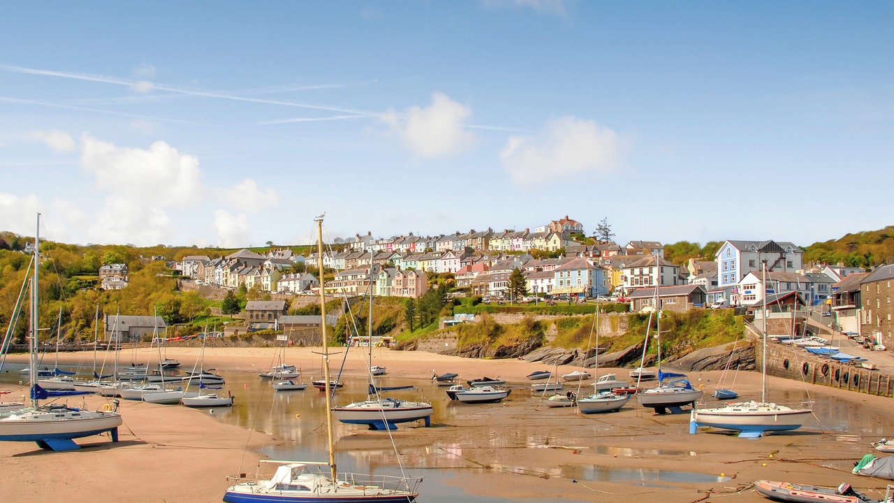 Photo of Others in Aberaeron