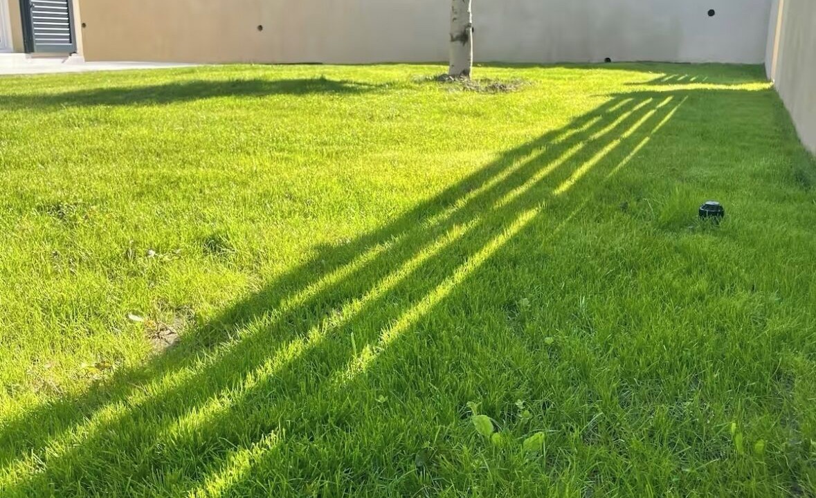 Photo of Outdoor in Patrimonio