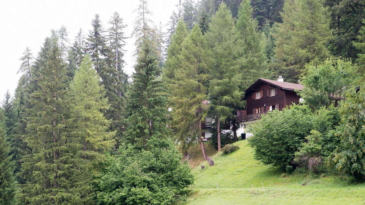 Photo of Outdoor in Parpan