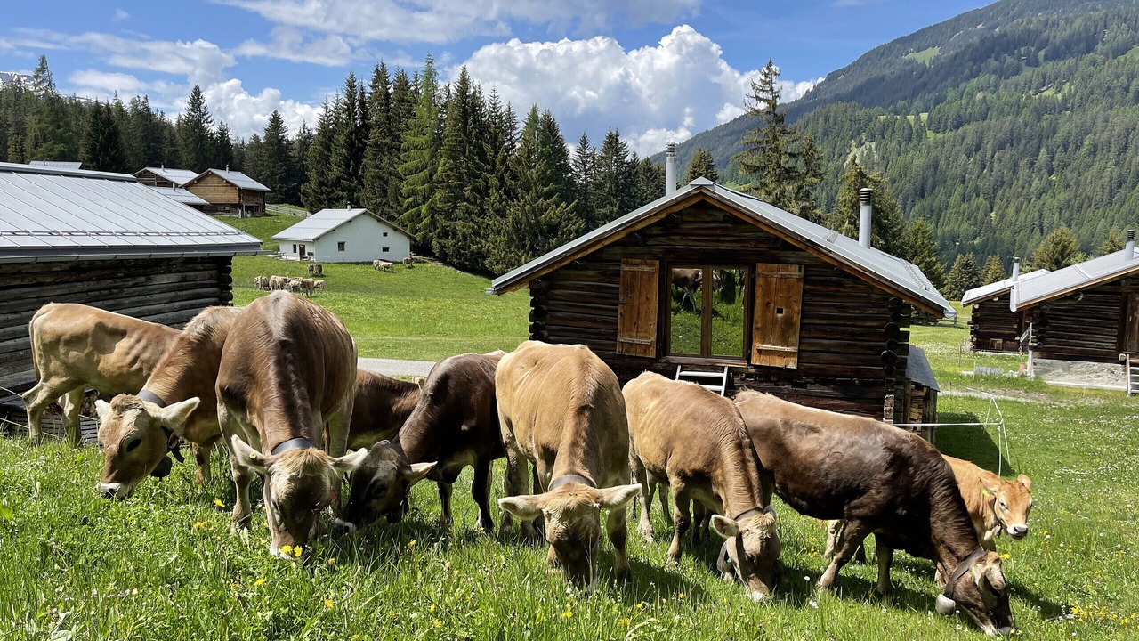 Photo of Outdoor in Lantsch-Lenz