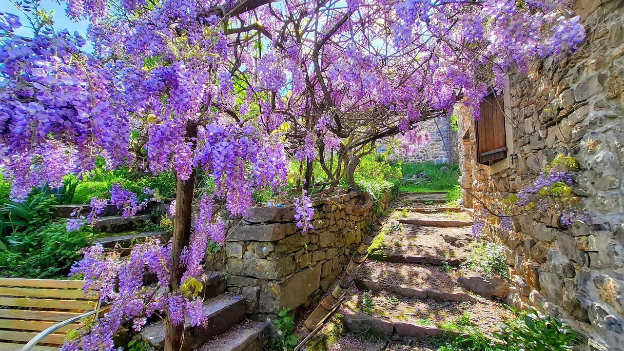 Photo of Outdoor in Cros