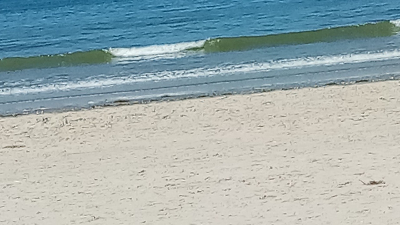 Photo of Others in Camiers