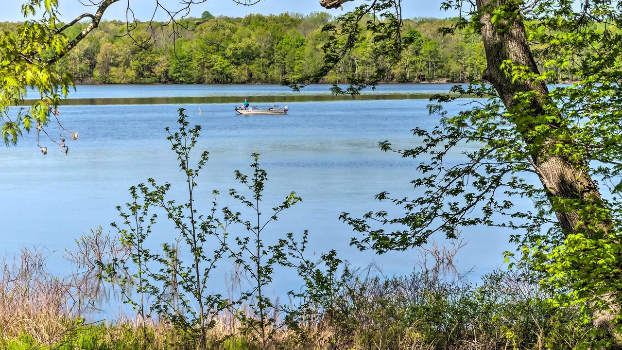 Photo of Outdoor in Hardin