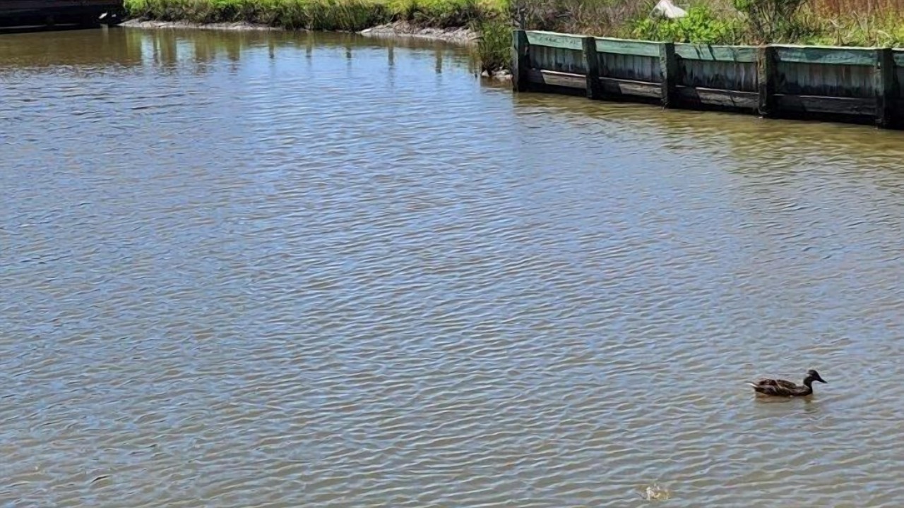 Photo of Outdoor in Hitchcock