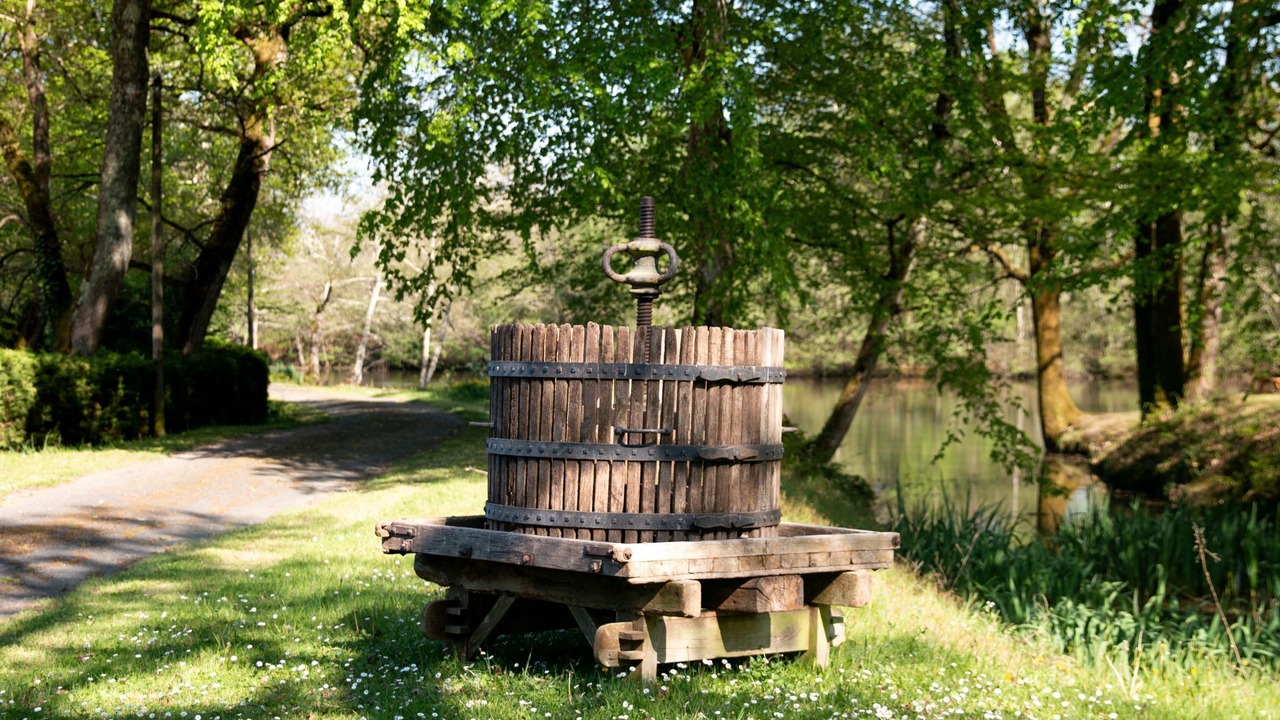 Photo of Outdoor in Boisredon