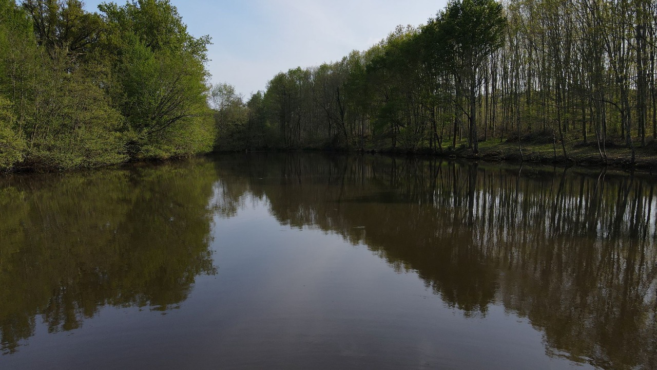 Photo of Outdoor in Boisredon