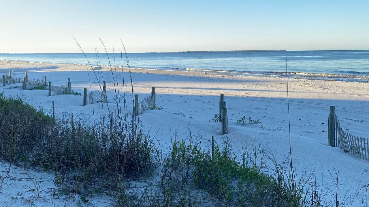Photo of Others in Mexico Beach