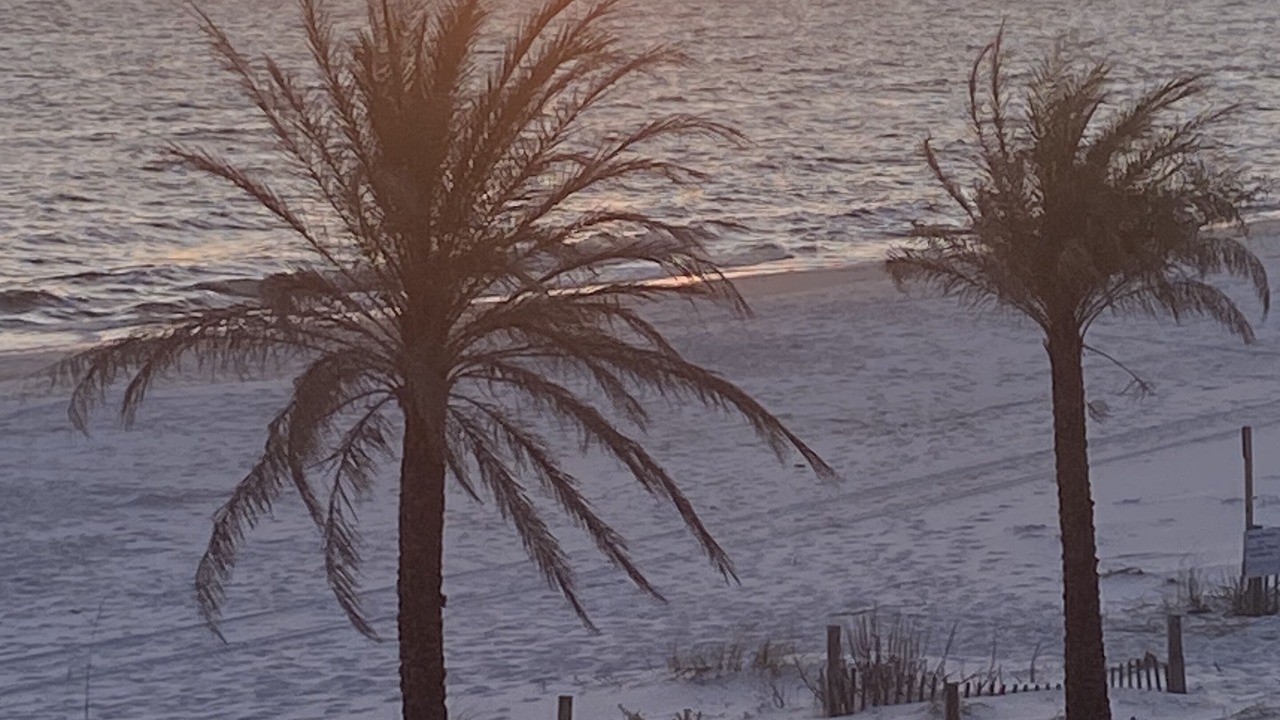 Photo of Others in Mexico Beach
