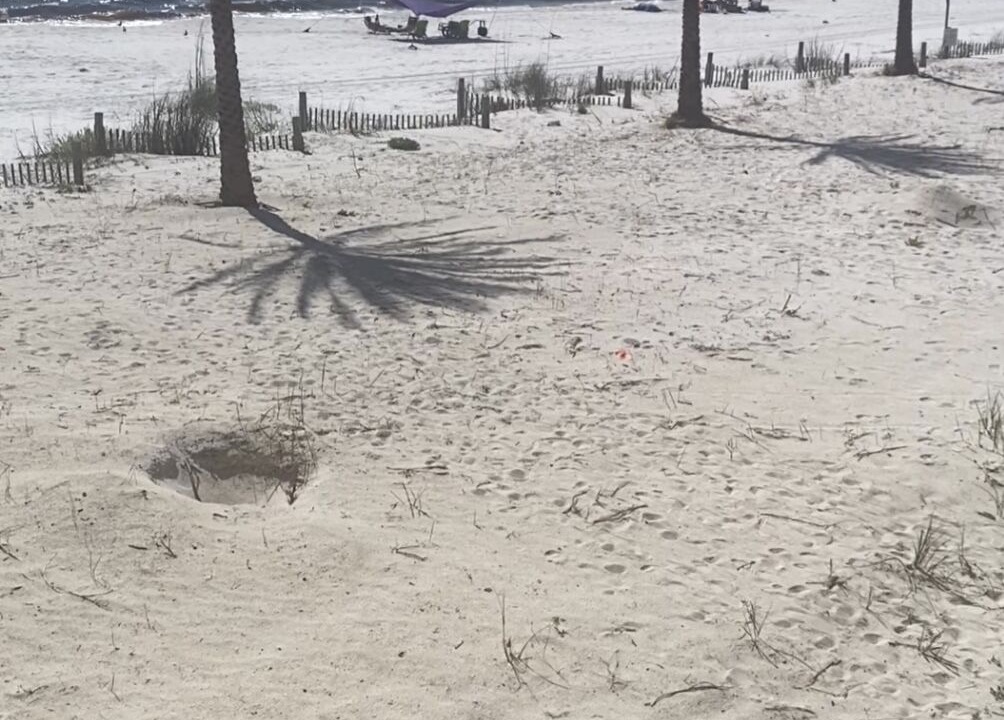 Photo of Others in Mexico Beach