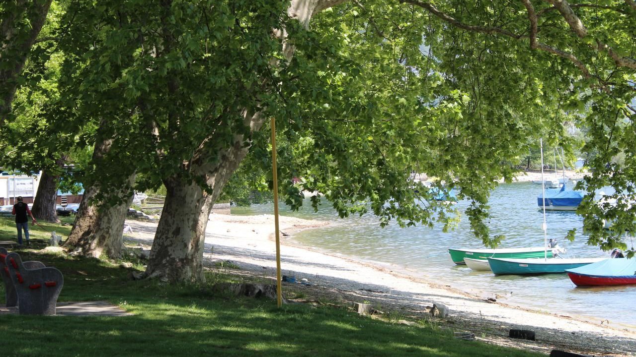 Photo of Others in Minusio