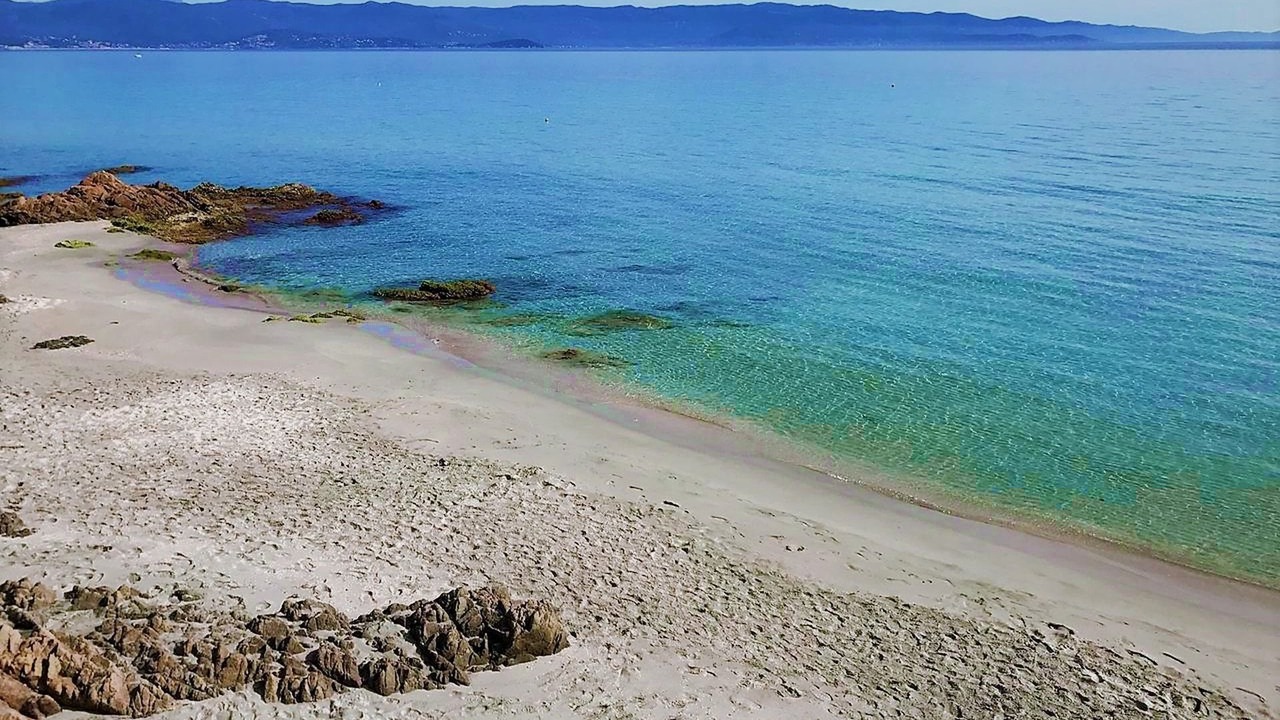 Photo of Others in Ajaccio