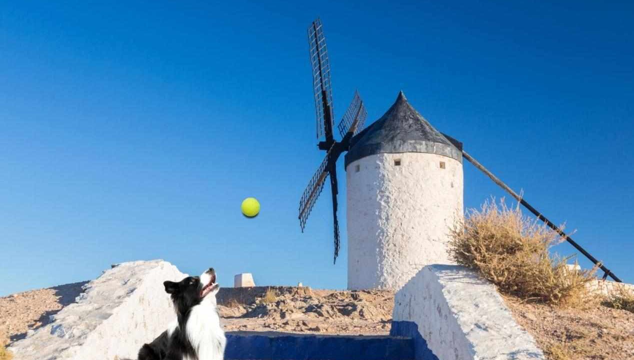 Photo of Others in Consuegra