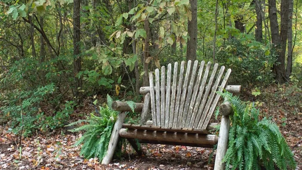 Photo of Outdoor in West Jefferson