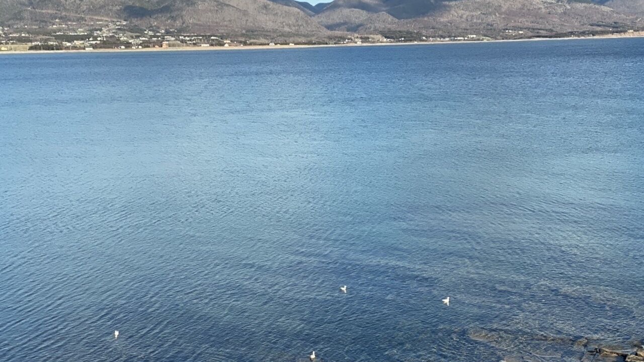 Photo of Others in Petit-Etang