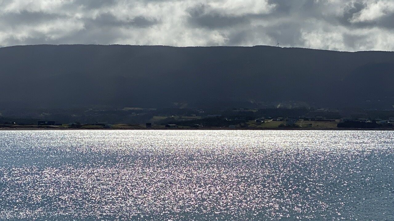 Photo of Others in Petit-Etang