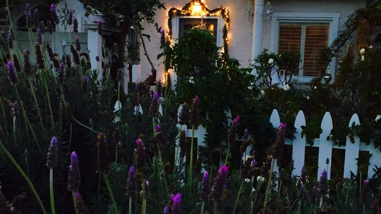 Photo of Outdoor in Venice
