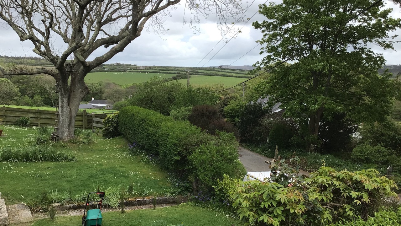 Photo of Others in Camborne