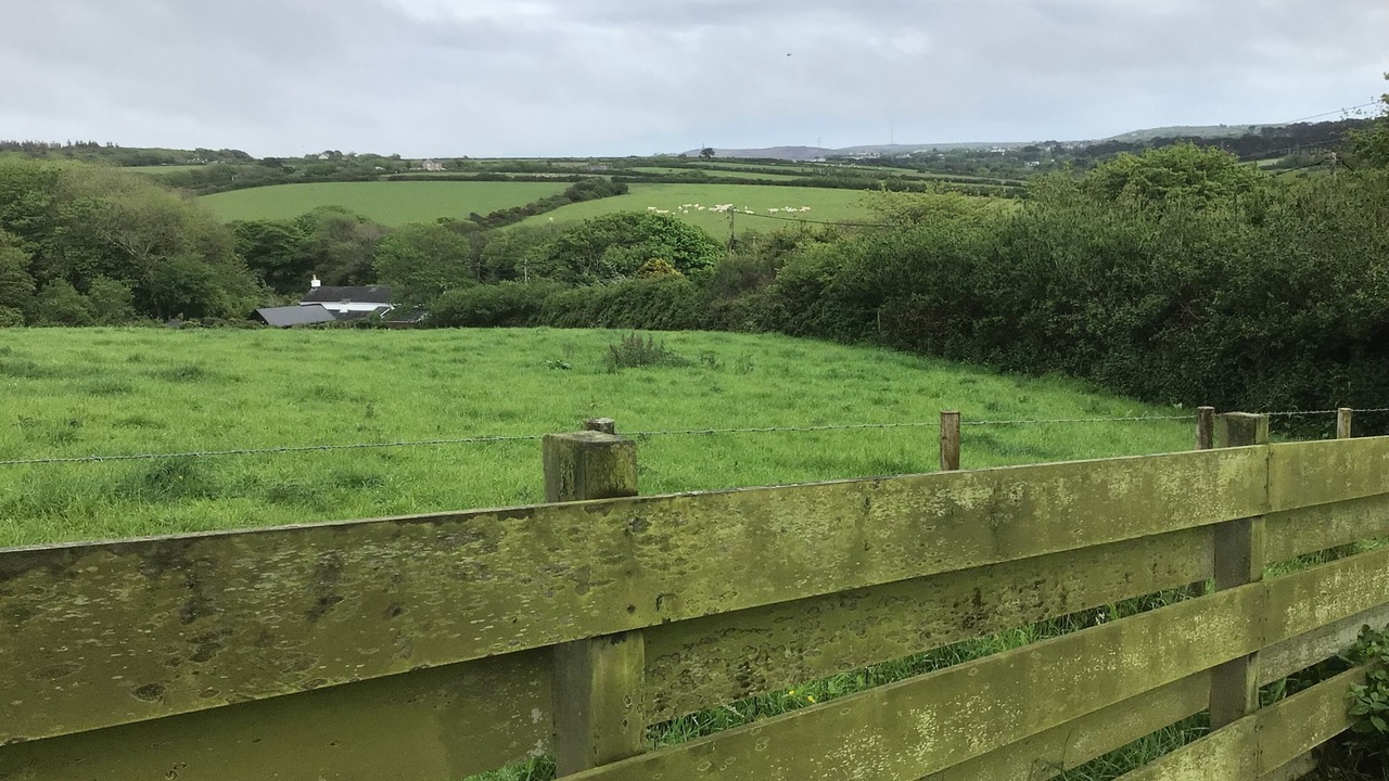 Photo of Others in Camborne