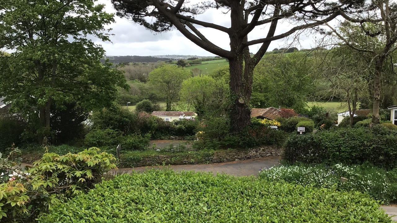 Photo of Others in Camborne