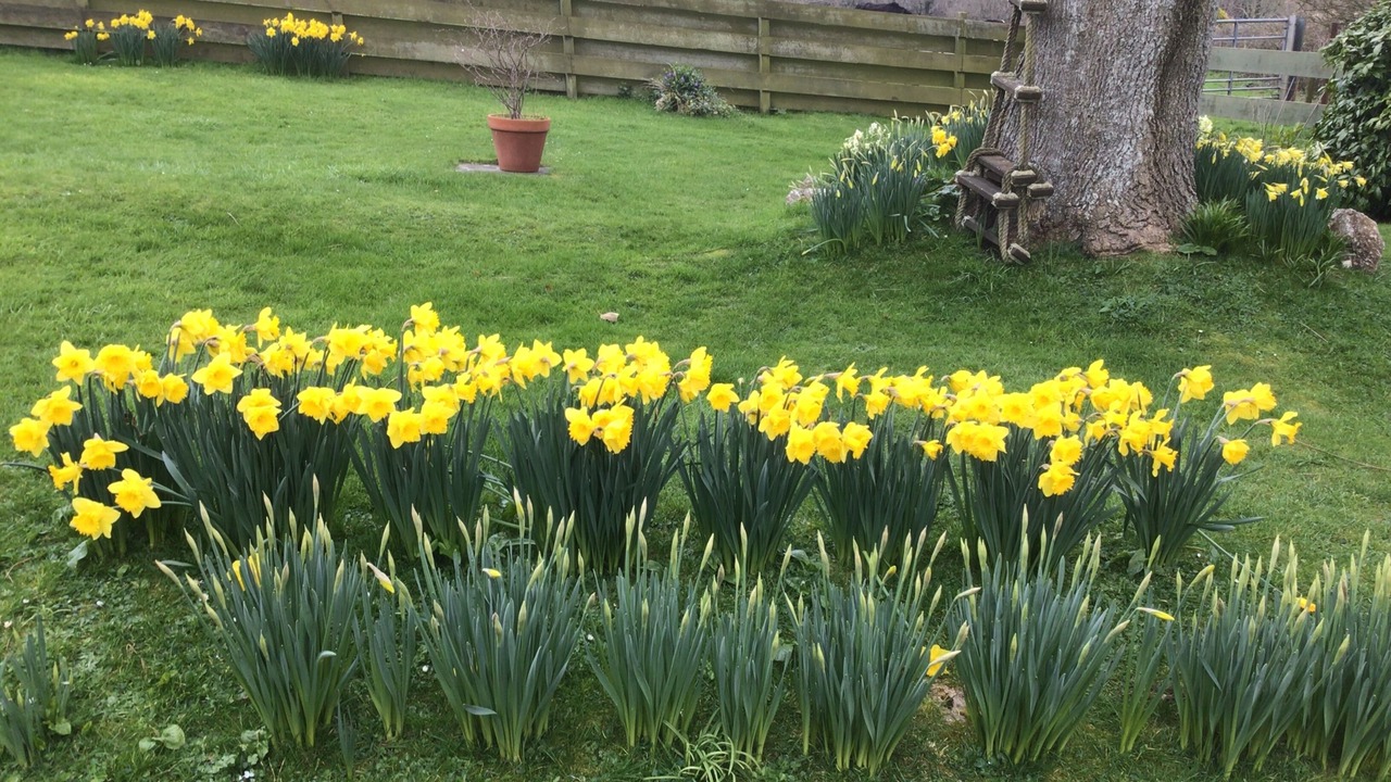 Photo of Others in Camborne