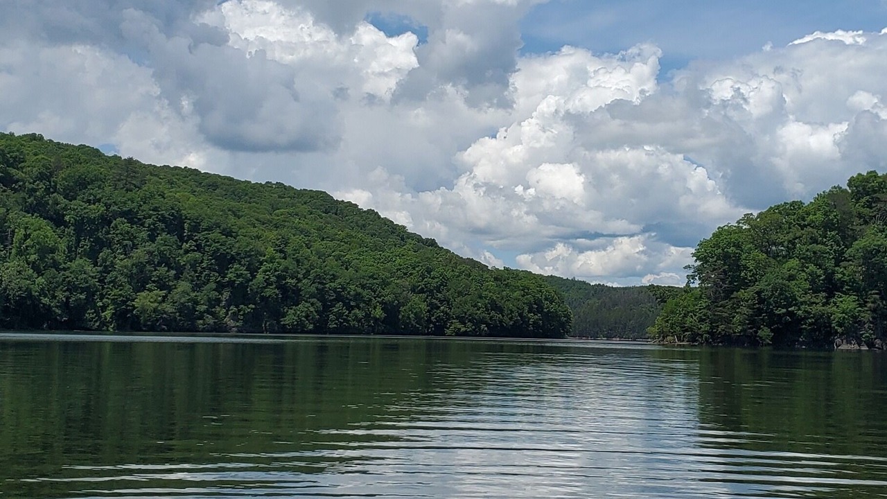Photo of Outdoor in Tarheel