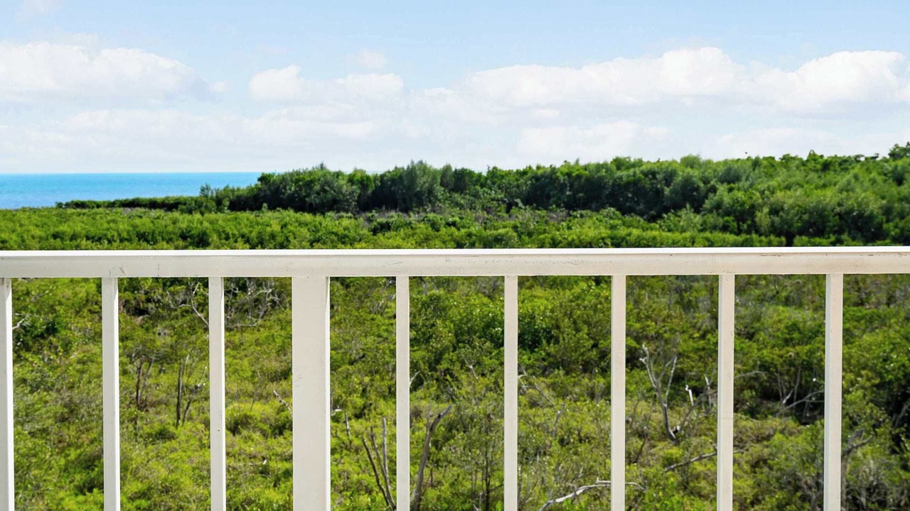 Photo of Outdoor in Tavernier