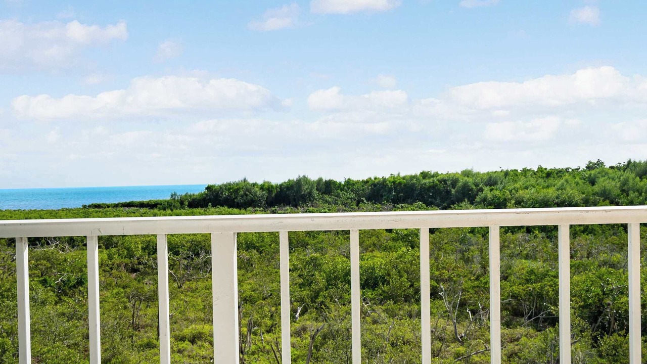 Photo of Outdoor in Tavernier