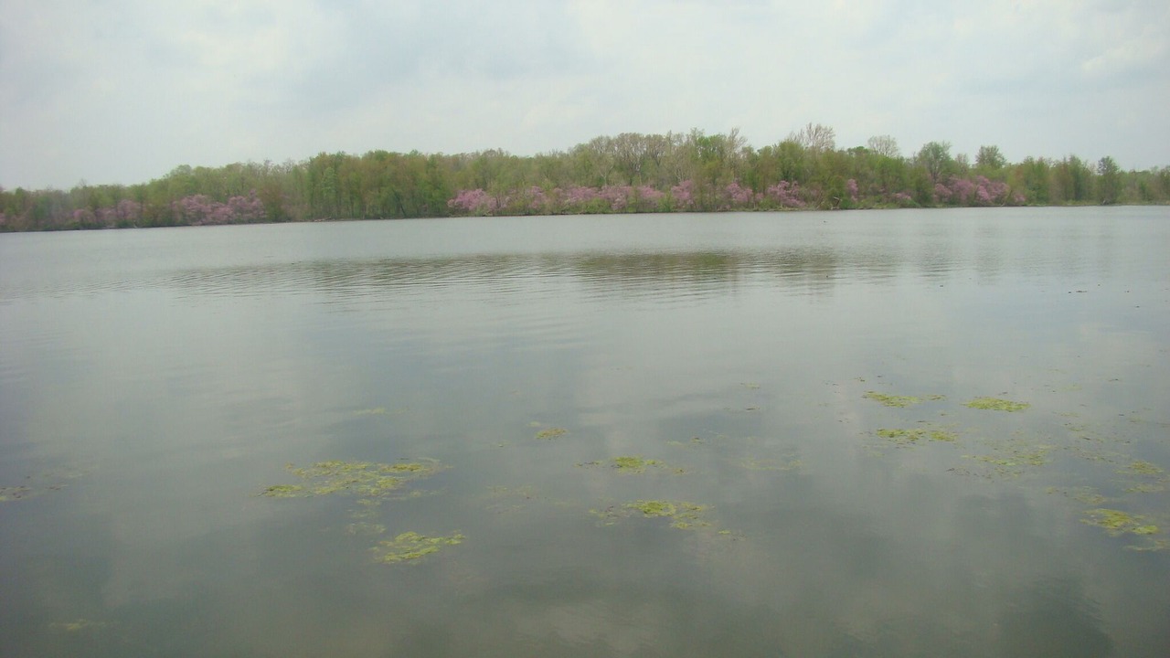 Photo of Outdoor in Silver Lake