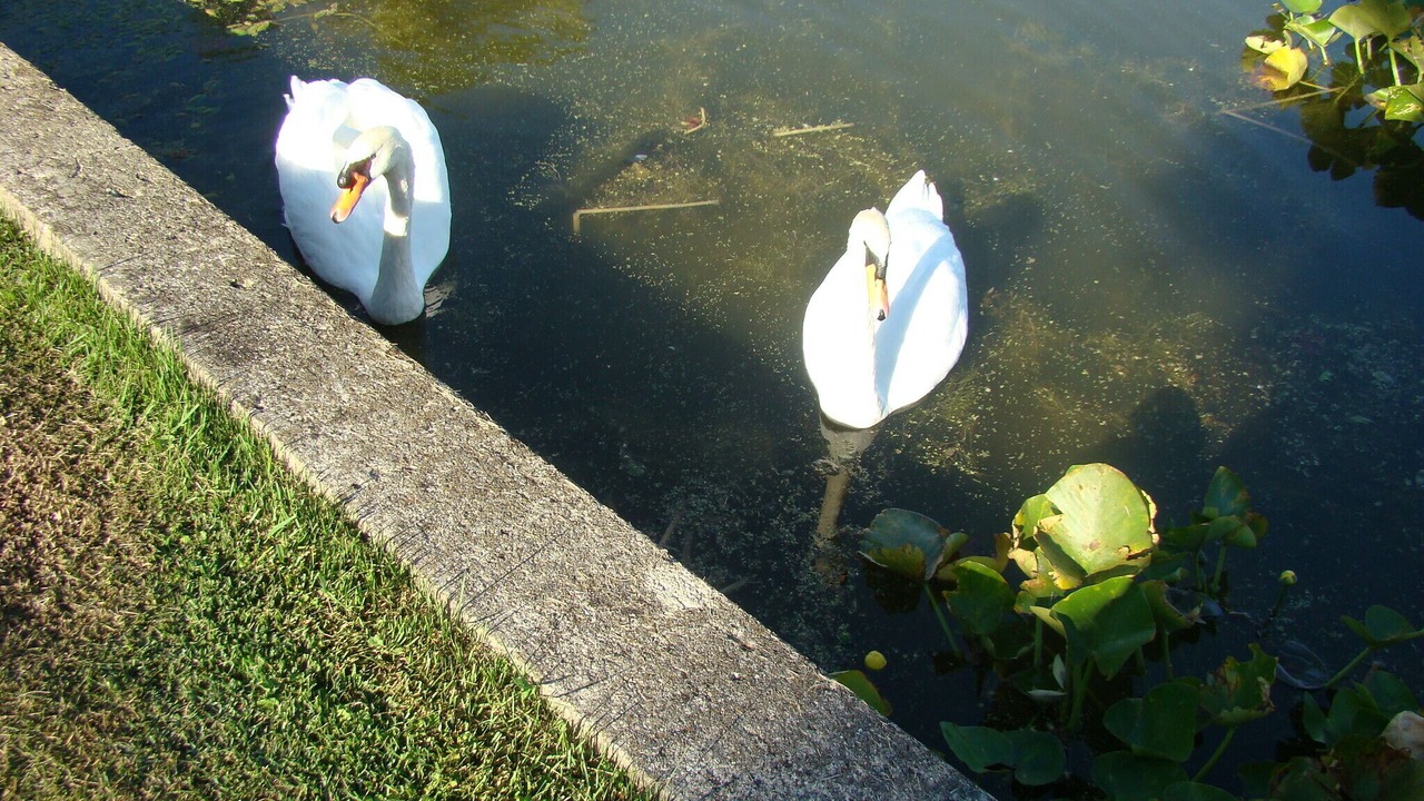 Photo of Outdoor in Silver Lake