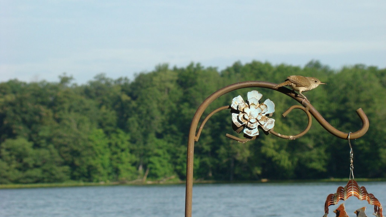 Photo of Others in Silver Lake