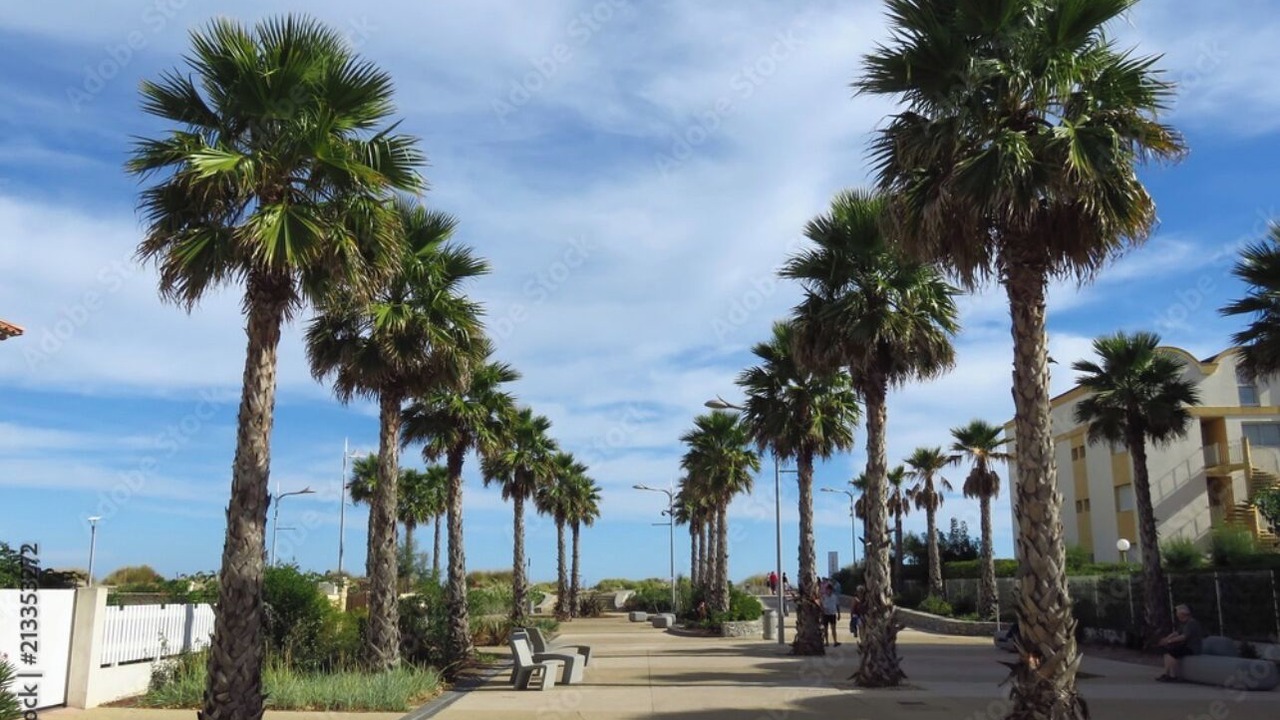 Photo of Outdoor in Adissan