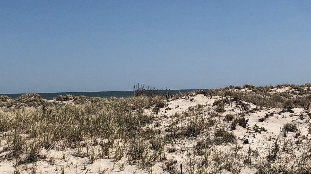 Photo of Others in Wildwood Crest