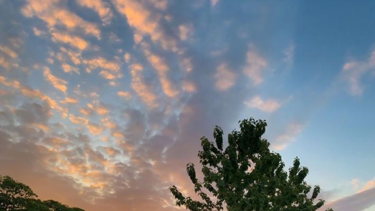 Photo of Outdoor in Newton by the Sea