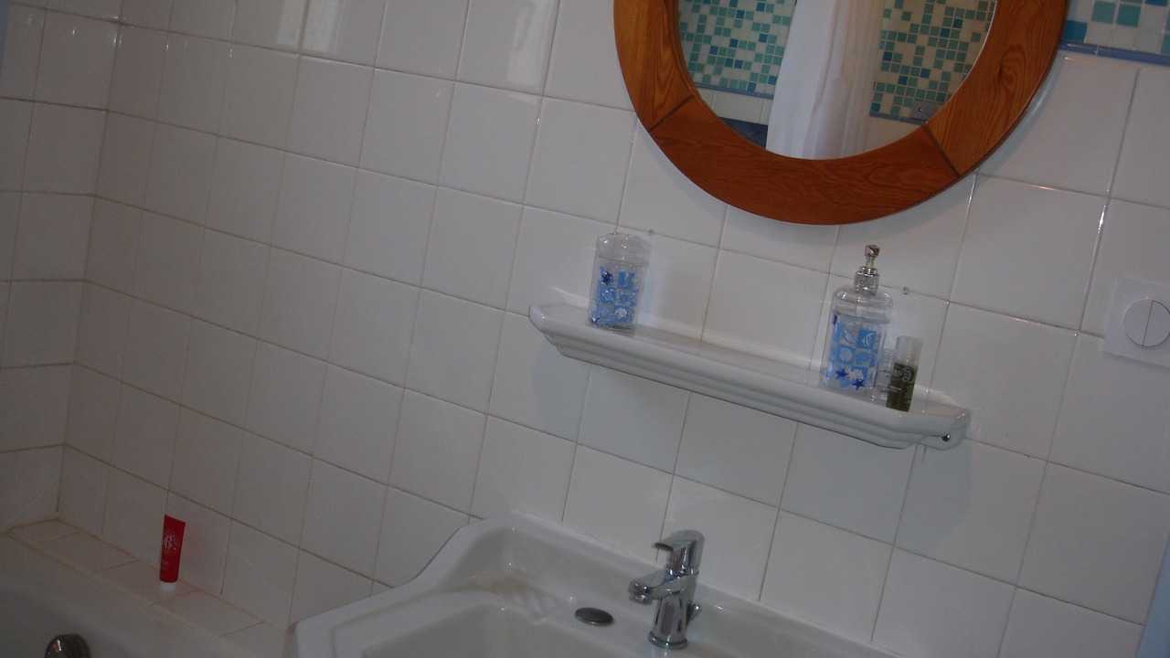 Photo of Bathroom in Plage d'Argeles