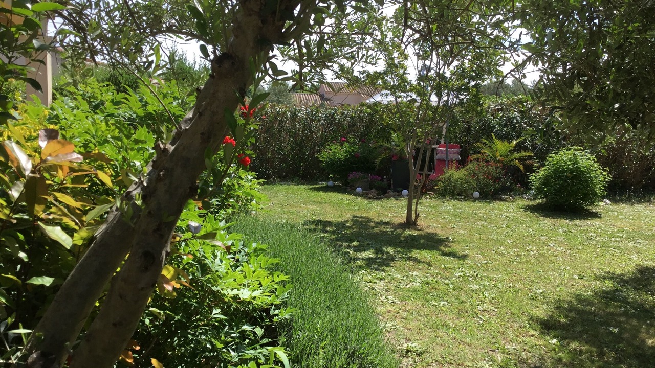 Photo of Outdoor in Orange