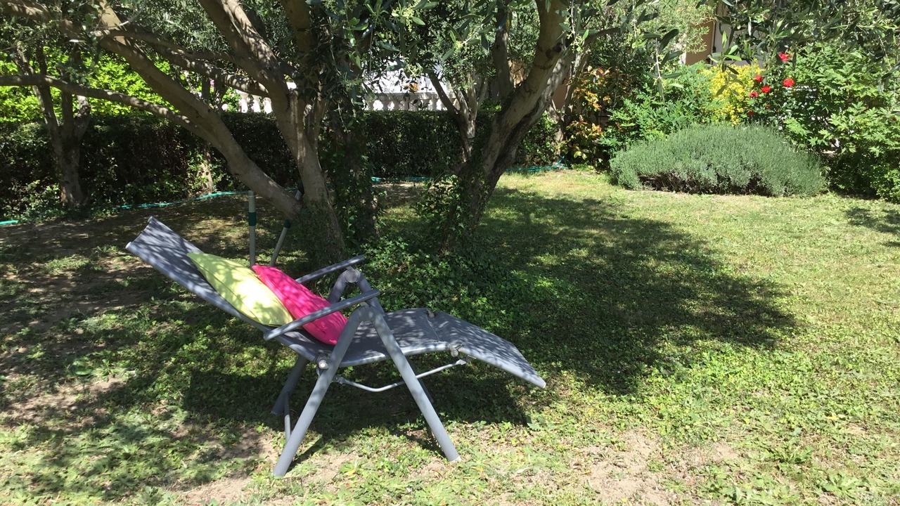Photo of Outdoor in Orange