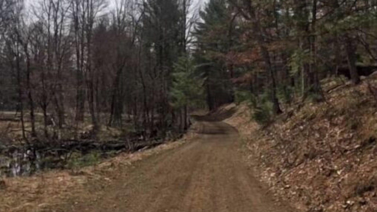 Photo of Others in Baldwin