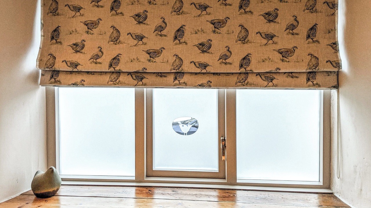 Photo of Others in Honiton